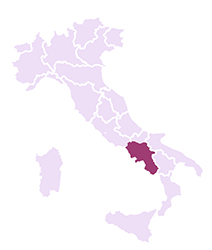 Vini della Sicilia