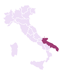 Vini della Puglia