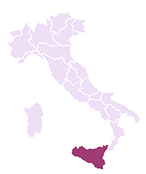 Vini della Puglia
