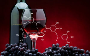 I tannini nel vino